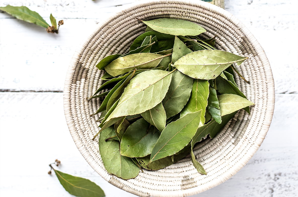 The Ultimate Guide to Finding the Perfect Bay Leaf Substitute