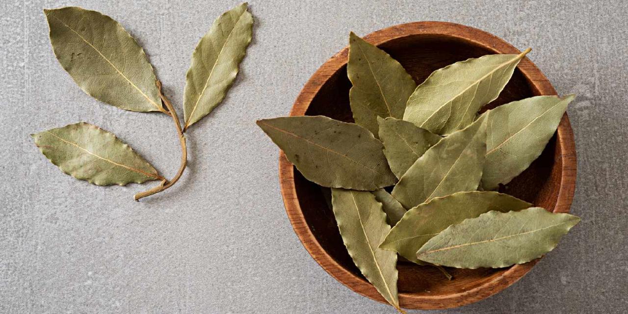 The Ultimate Guide to Finding the Perfect Bay Leaf Substitute