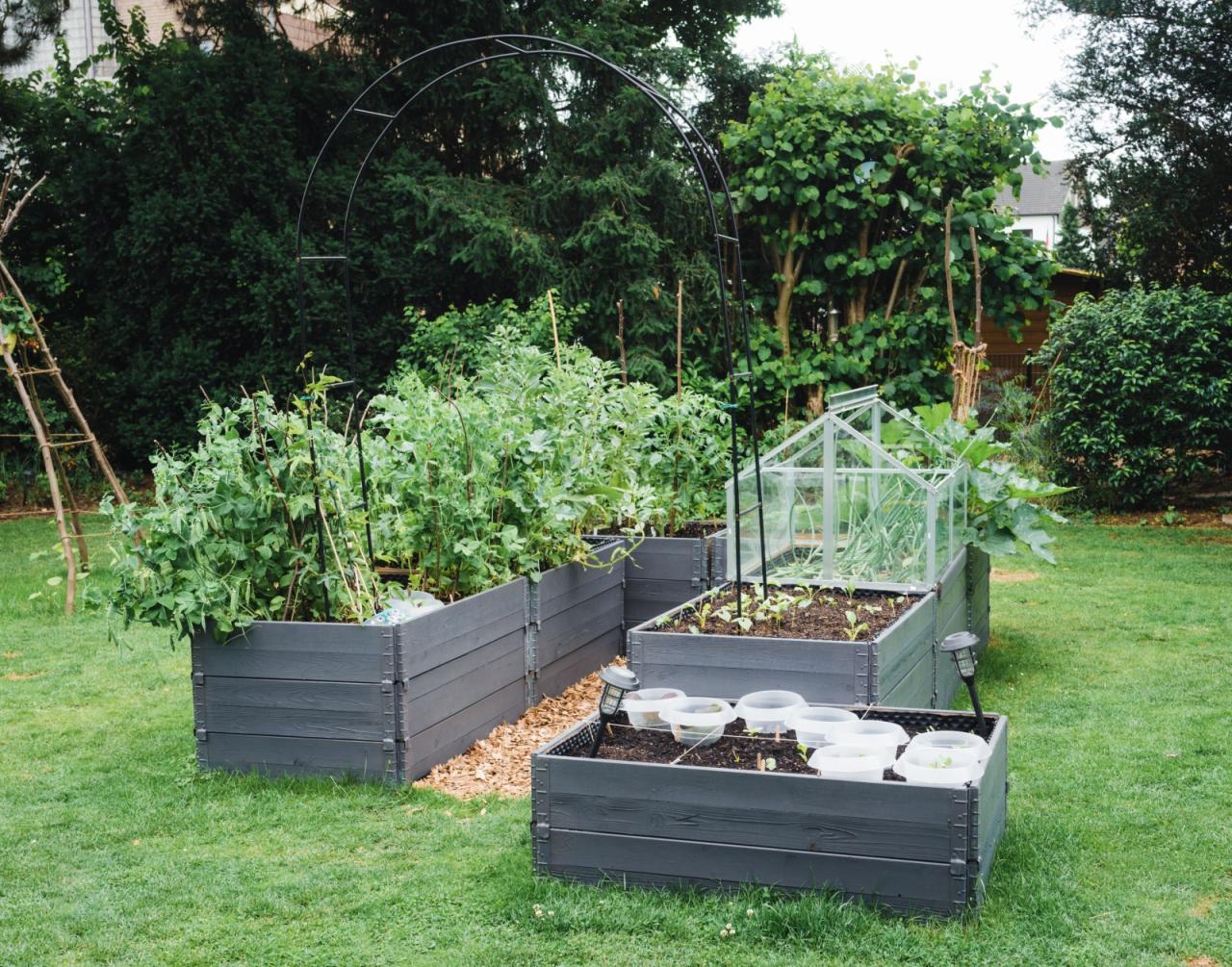 Avoid These Mistakes in Raised Bed Gardens