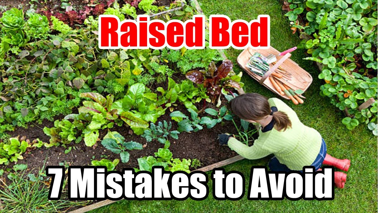 Avoid These Mistakes in Raised Bed Gardens